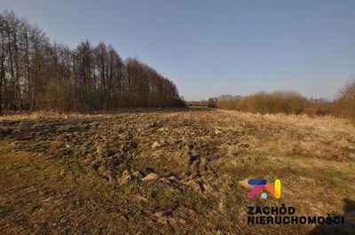 Na sprzedaż działka rolna o powierzchni 6400 m2 usytuowana w Zielonej Górze- Jany.