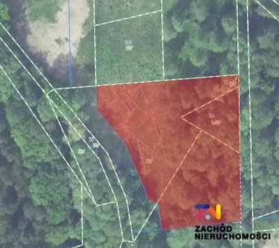 Prezentujemy Państwu działkę budowlaną w miejscowości Droszków, zaledwie 12km od Zielonej Góry. Idealne miejsce dla osób ceniących spokój i ciszę.