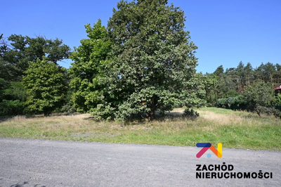 Prezentujemy Państwu działkę budowlaną o pow. 2714m2 w miejscowości Haliniec koło Niwisk w gm. Nowogród Bobrzański.
