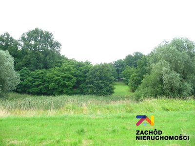 Oferujemy Państwu na sprzedaż działkę budowlaną, który znajduje się na urokliwej działce ze wzgórzem z pięknym widokiem na okolice o pow. 2,26 ha w gminie Zabór w miejscowości Przytok.
