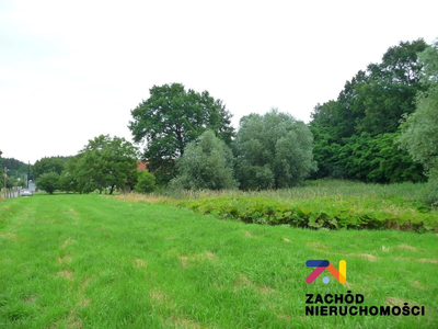 Oferujemy Państwu na sprzedaż działkę budowlaną, który znajduje się na urokliwej działce ze wzgórzem z pięknym widokiem na okolice o pow. 2,26 ha w gminie Zabór w miejscowości Przytok. - 5