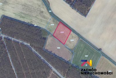 Oferujemy na sprzedaż działkę rolną o powierzchni 2983m2 położoną w Bogaczowie.