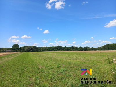 Prezentujemy Państwu kompleksdziałek budowlanych w miejscowości Zabór, zaledwie 17km od Zielonej Góry. Idealne miejsce dla osób ceniących spokój i ciszę.