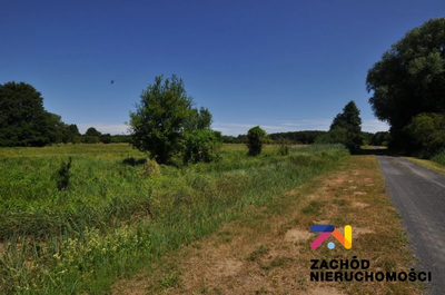 Na sprzedaż 3 działki o łącznej powierzchni 24 200 m2 usytuowane w Zielonej Górze- Zawada.