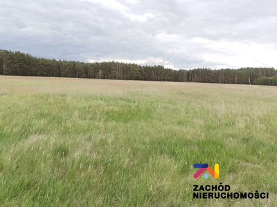 Zapraszamy do zapoznania się z ofertą sprzedaży działki budowlanej położonej w dzielnicy Zielonej Góry- Ochla