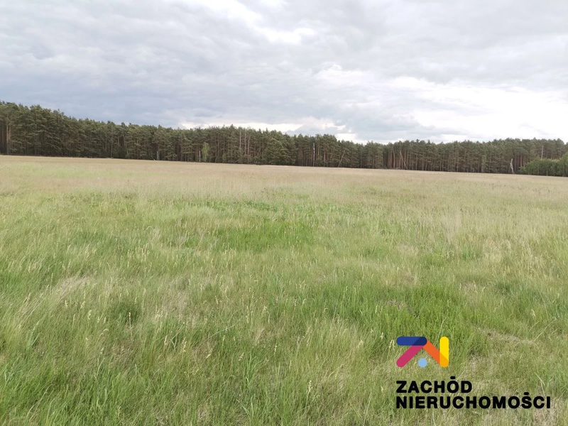Zapraszamy do zapoznania się z ofertą sprzedaży działki budowlanej położonej w dzielnicy Zielonej Góry- Ochla - 165030227-1l.jpg