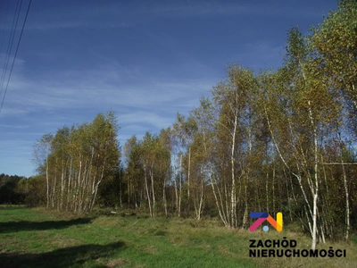 Na sprzedaż atrakcyjna działka w malowniczym rejonie Radomia - Orzewo, o powierzchni około 1200 m, idealna dla osób poszukujących spokojnego miejsca do realizacji swoich marzeń o własnym domu.
