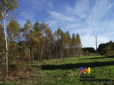 Na sprzedaż atrakcyjna działka w malowniczym rejonie Radomia - Orzewo, o powierzchni około 1200 m, idealna dla osób poszukujących spokojnego miejsca do realizacji swoich marzeń o własnym domu. - 5