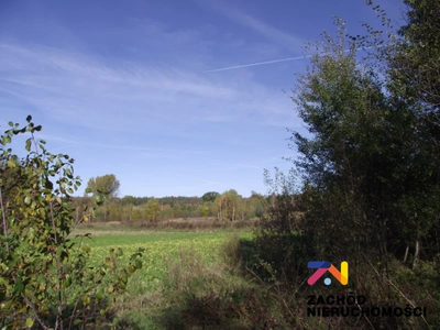 Na sprzedaż atrakcyjna działka w malowniczym rejonie Radomia - Orzewo, o powierzchni około 1200 m, idealna dla osób poszukujących spokojnego miejsca do realizacji swoich marzeń o własnym domu. - 4