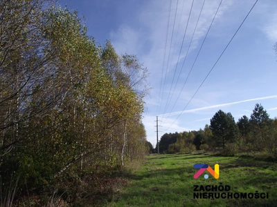 Na sprzedaż atrakcyjna działka w malowniczym rejonie Radomia - Orzewo, o powierzchni około 1200 m, idealna dla osób poszukujących spokojnego miejsca do realizacji swoich marzeń o własnym domu. - 3