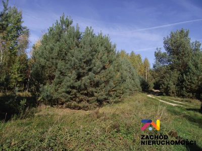Na sprzedaż atrakcyjna działka w malowniczym rejonie Radomia - Orzewo, o powierzchni około 1200 m, idealna dla osób poszukujących spokojnego miejsca do realizacji swoich marzeń o własnym domu. - 2