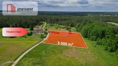 Działka 5000 m2 ze ścianą lasu, raj dla duszy