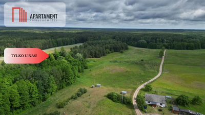 Działka 5000 m2 ze ścianą lasu, raj dla duszy - 2