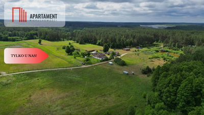 Działka 5000 m2 ze ścianą lasu, raj dla duszy - 3