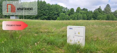 Działka 5000 m2 ze ścianą lasu, raj dla duszy - 4