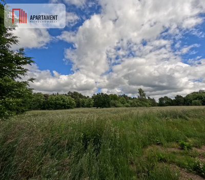 Działka w pobliżu jeziora, lasów i łąk - 4