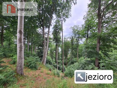 Działka w pobliżu jeziora, lasów i łąk - 5