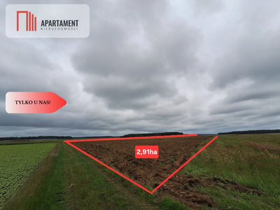 Działka rolna na wsi, Pławno