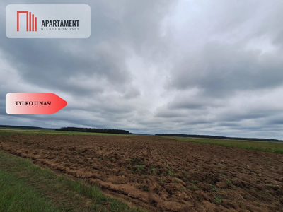 Działka rolna na wsi, Pławno - 5