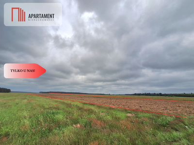 Działka rolna na wsi, Pławno - 4