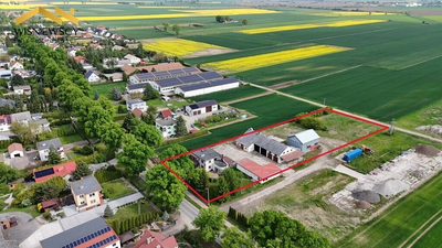 Dom z zabudowaniami, działka 5300m², Kościeleczki - 4
