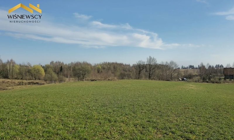 Działka 3333m², z pozwoleniem na budowę, Ogrodniki - 104949473.jpg