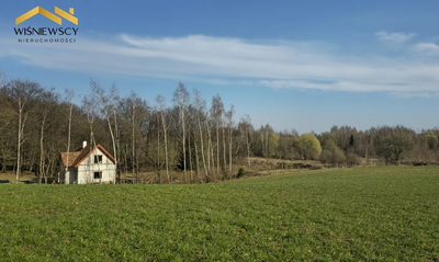 Działka 3333m², z pozwoleniem na budowę, Ogrodniki - 4