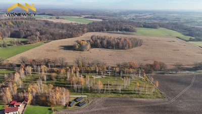Dawidy – duża działka 0,5306 ha (WZ) - 5