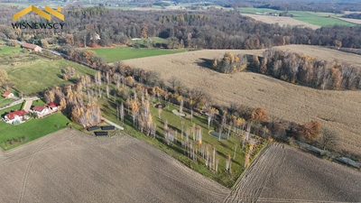 Dawidy – duża działka 0,5306 ha (WZ) - 2