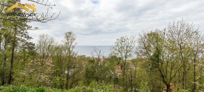 Suchacz - Działki pod osiedle lub inwestycję - 3