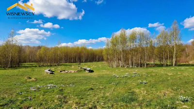 Działka - 1,63 ha przy rezerwacie Lenki, Dawidy