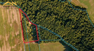 Działka - 1,63 ha przy rezerwacie Lenki, Dawidy - 2