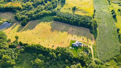 Działka 1291 m² z WZ wśród natury – Rogowo - 2