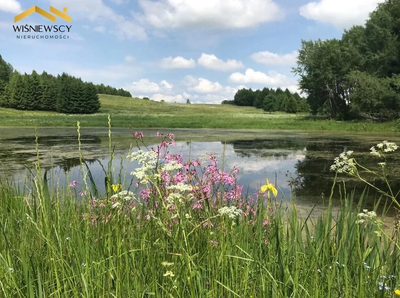 Działka 1028 m² z WZ wśród natury – Rogowo - 4