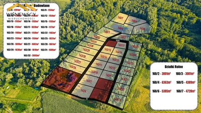 Rogowo 2,9 ha ze stawem i działką pod dom - 2