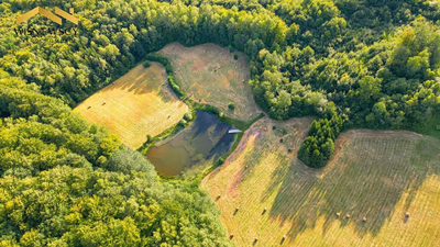 Rogowo 2,9 ha ze stawem i działką pod dom - 4