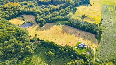 Rogowo 2,9 ha ze stawem i działką pod dom - 5
