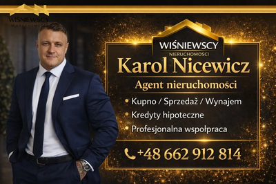 Działka 4232 m² ze stawem, Drużno - 3