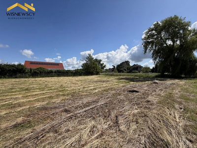Działka 1580 m² z mediami | Cisy k. Malborka - 2