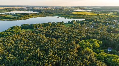Twój kawałek lasu nad jeziorem Wieleńskim MPZP! - 5