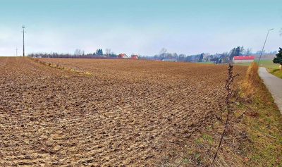 Tomaszowice - działka 20ar położona na wzniesieniu - 4