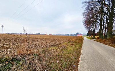 Tomaszowice - działka 20ar położona na wzniesieniu - 2
