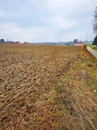 Tomaszowice - działka 20ar położona na wzniesieniu - 3