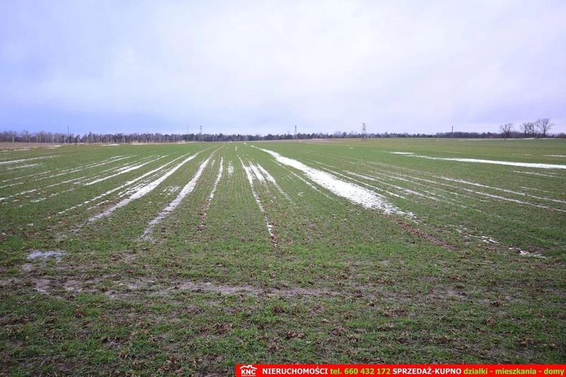 Wierciszów, działka budowlana MN, media. - 93772500.jpg