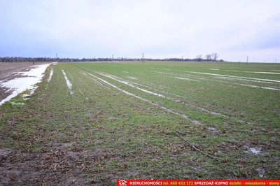 Wierciszów, działka budowlana MN, media. - 3