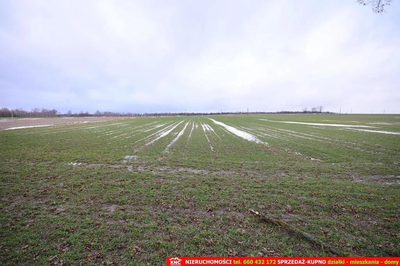 Wierciszów, działka budowlana MN, media. - 5