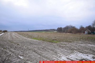 Wierciszów, działki budowlane MN, media 100%. - 5
