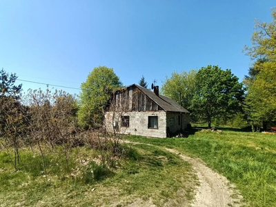 Siedlisko w cichej okolicy 100 km od Warszawy. - 4