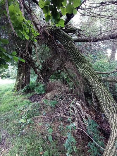 Łąka pod Lublinem- miejsce na odpoczynek nad rzeką! - 2