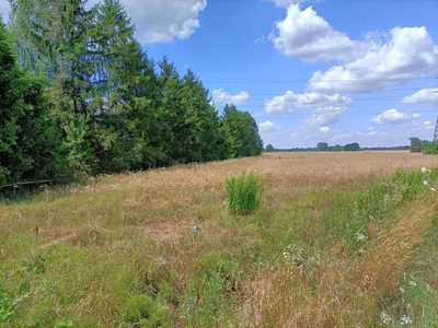 Działka 4 ha o różnym przeznaczeniu w Zwoleniu. - 4
